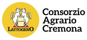 Logo Consorzio Cremona